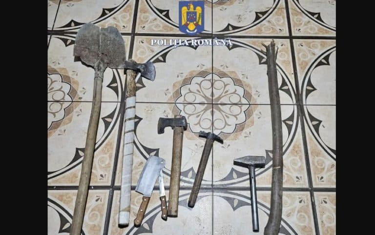 Bătaie cu topoare la Dărmănești. Doi bărbați sunt acuzați de tentativă de omor