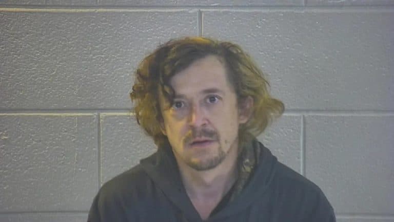 Adolescentă dată dispărută, găsită de polițiști într-o trapă secretă din dormitorul unui bărbat de 34 de ani. Caz șocant în SUA