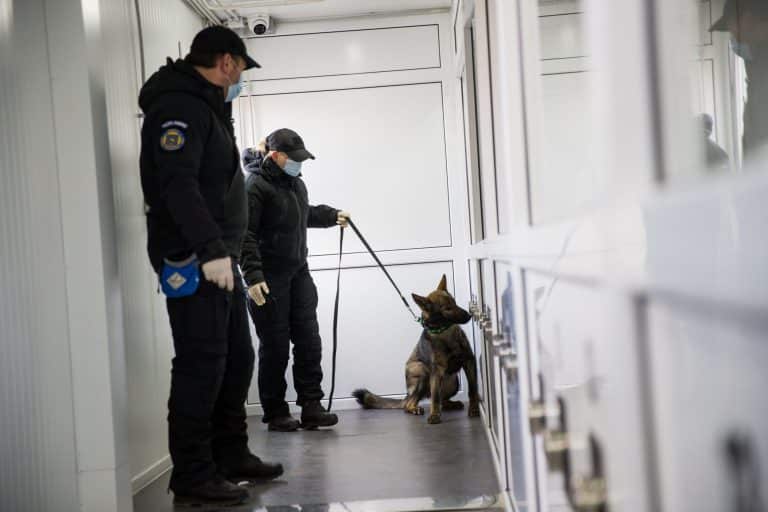 Familia unui profesor de matematică din Vâlcea, acuzată că l-ar fi omorât și i-a ascuns cadavrul. Bărbatul a dispărut de trei ani