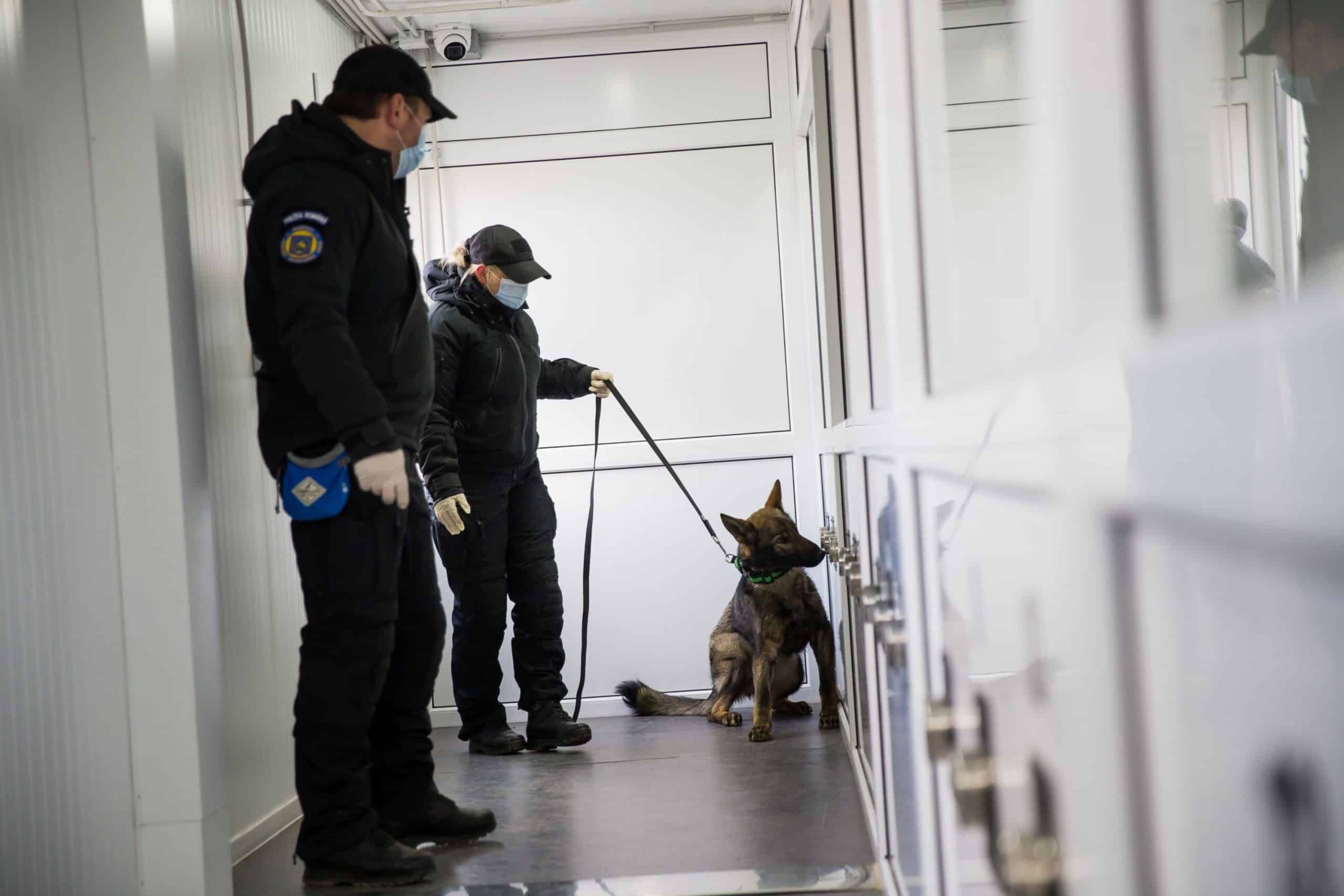 Familia unui profesor de matematică din Vâlcea, acuzată că l-ar fi omorât și i-a ascuns cadavrul. Bărbatul a dispărut de trei ani