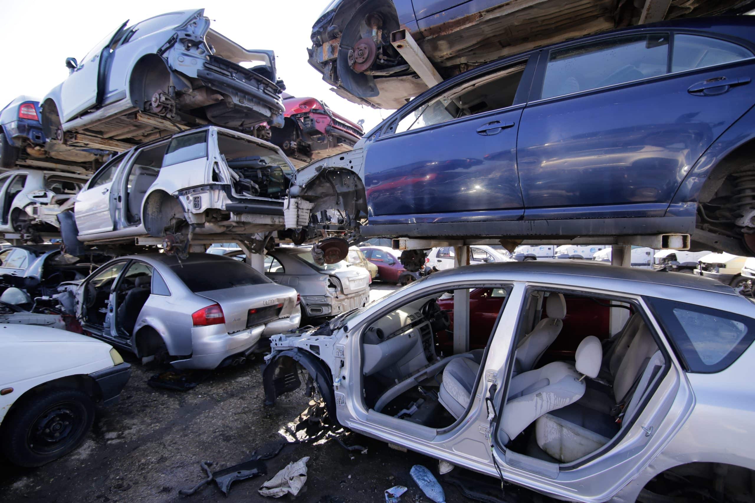 Rabla Local 2024. Când începe ediția din acest an a programului