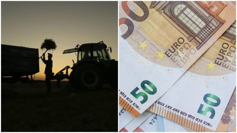 Ei sunt românii care pot lua cel puțin 200 de euro de la stat. Ce condiții trebuie să îndeplinească