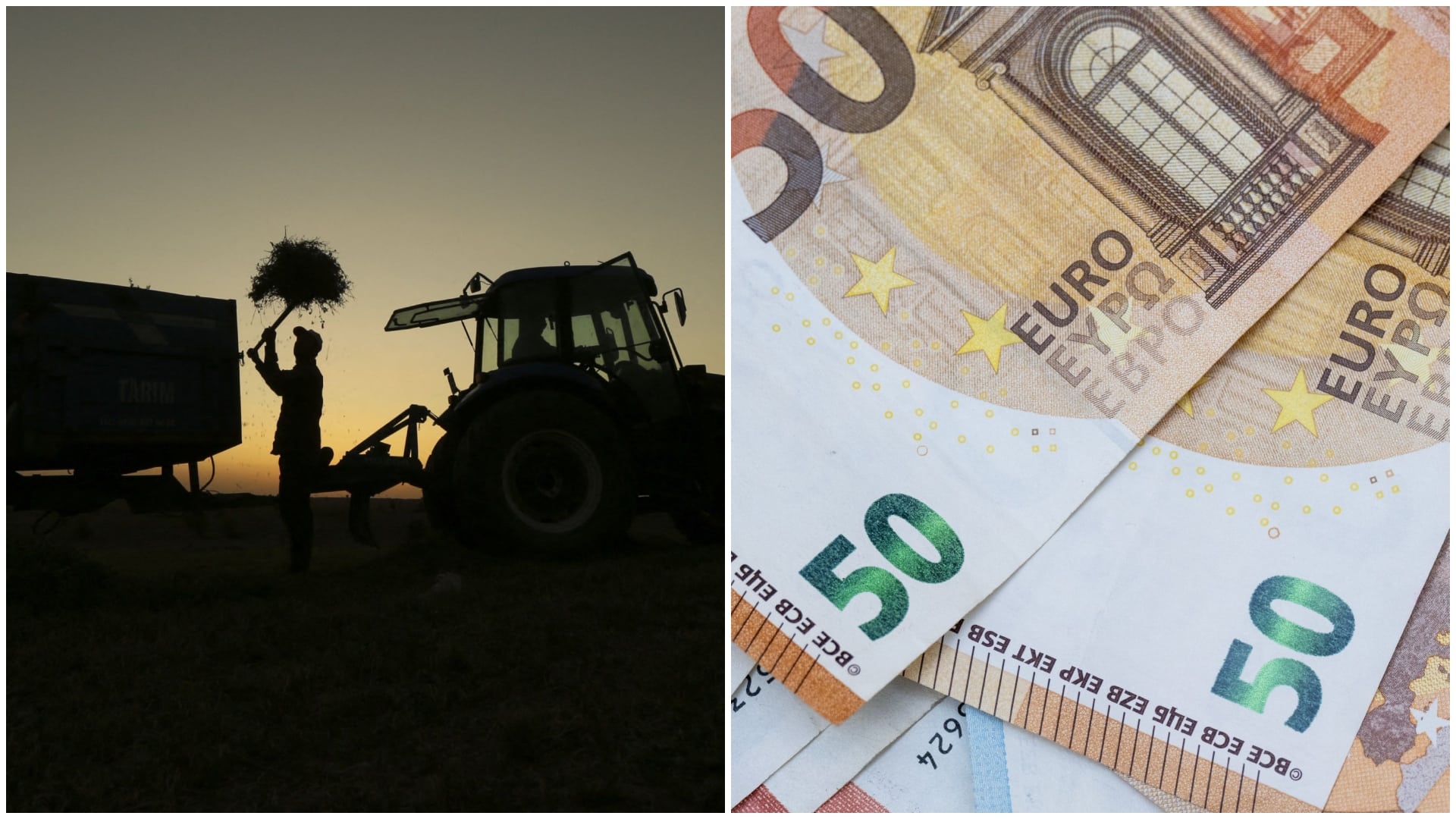 Ei sunt românii care pot lua cel puțin 200 de euro de la stat. Ce condiții trebuie să îndeplinească