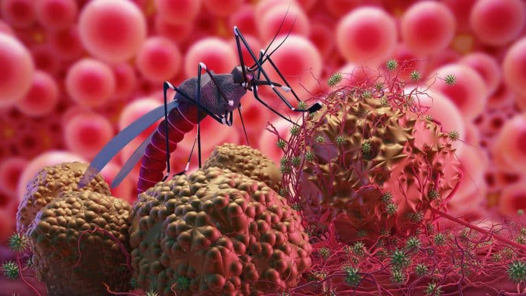 Țările cu risc crescut de malarie. MAE îi avertizează pe românii care vor să meargă aici