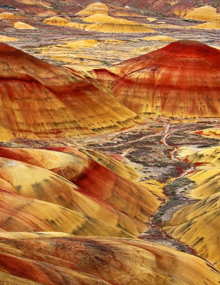 Fotografia cu care Ambasada SUA în România a surprins pe toată lumea. “Este puțin probabil să găsiți aşa ceva în altă parte a lumii”