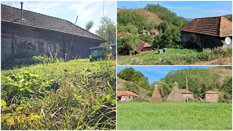 Satul din România care s-a umplut de lupi și urși. Doar câteva familii mai locuiesc aici