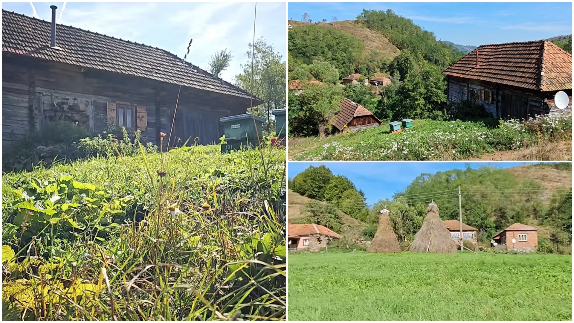 Satul din România care s-a umplut de lupi și urși. Doar câteva familii mai locuiesc aici