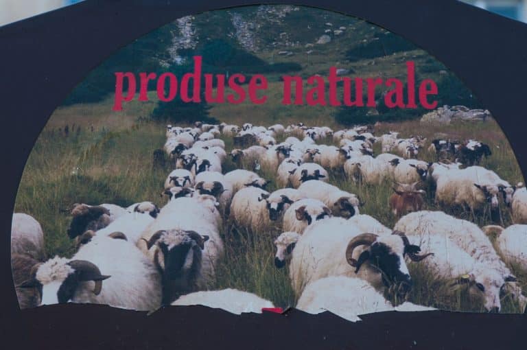 Fabrica de tradiție din România care și-ar putea relua producția. Apar și locuri de muncă