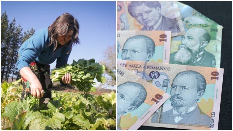 Tichete de 15 lei pentru mai multe categorii de români. Legea, deși intrată în vigoare, nu se poate aplica