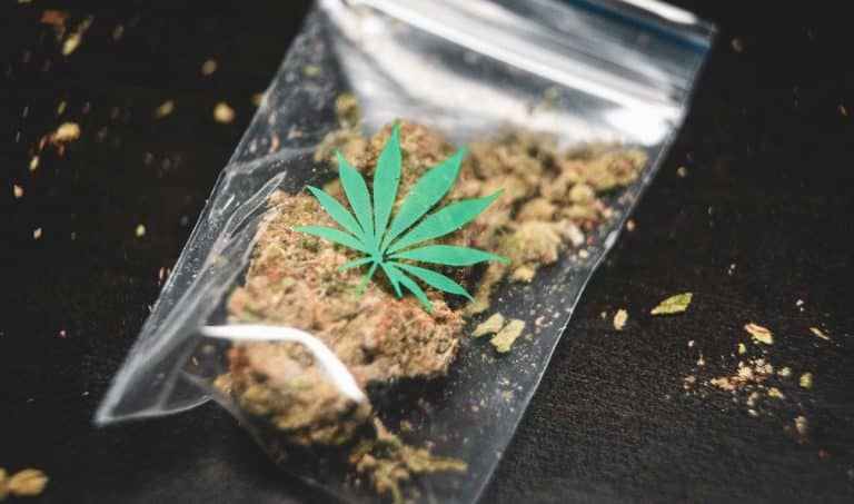 Ce este ”drogul elevului”, substanța care face ravagii printre tinerii din București. ”Vreți tigăiță? 10 lei”