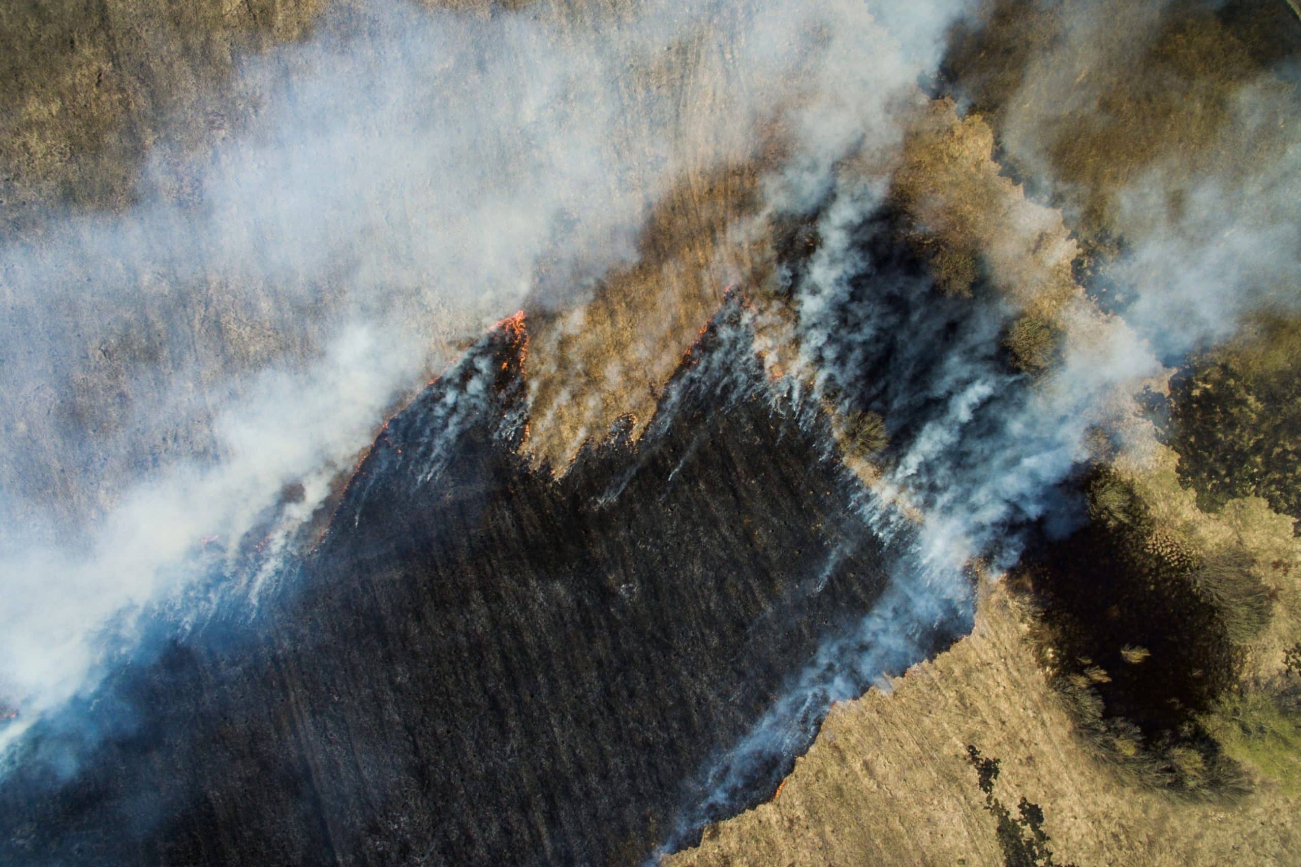 Incendiu de vegetație soldat cu o victimă. Un bătrân a murit din cauza focului pe care chiar el l-a pornit