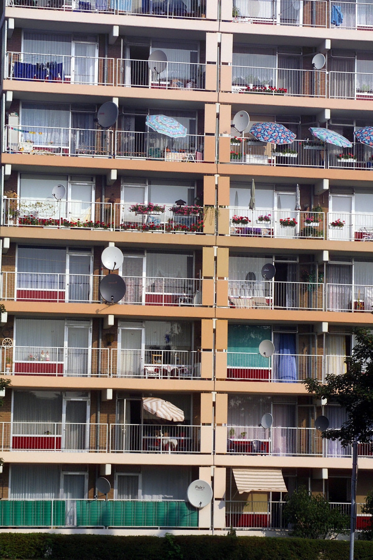 Amenzile pentru deranjarea vecinilor vor fi dublate. La ce sumă s-a ajuns