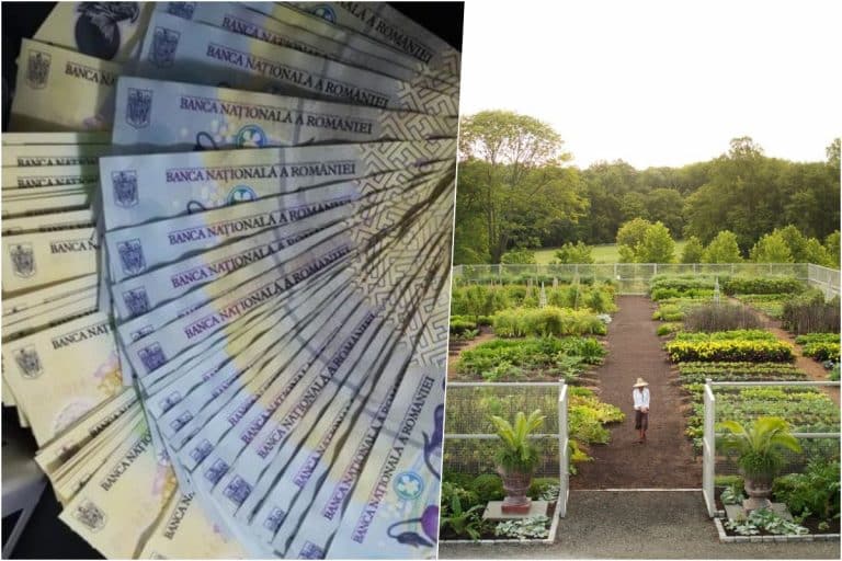 Afacerea genială pe care a gândit-o un tânăr din Lungulețu. A transformat o legumă în aur curat