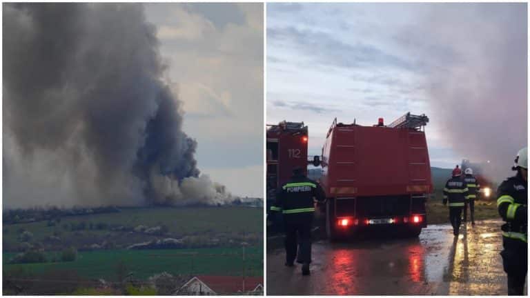 Hală pentru creșterea păsărilor din Satu Mare, cuprinsă de flăcări. Fumul negru poate fi văzut de la câțiva kilometri distanță