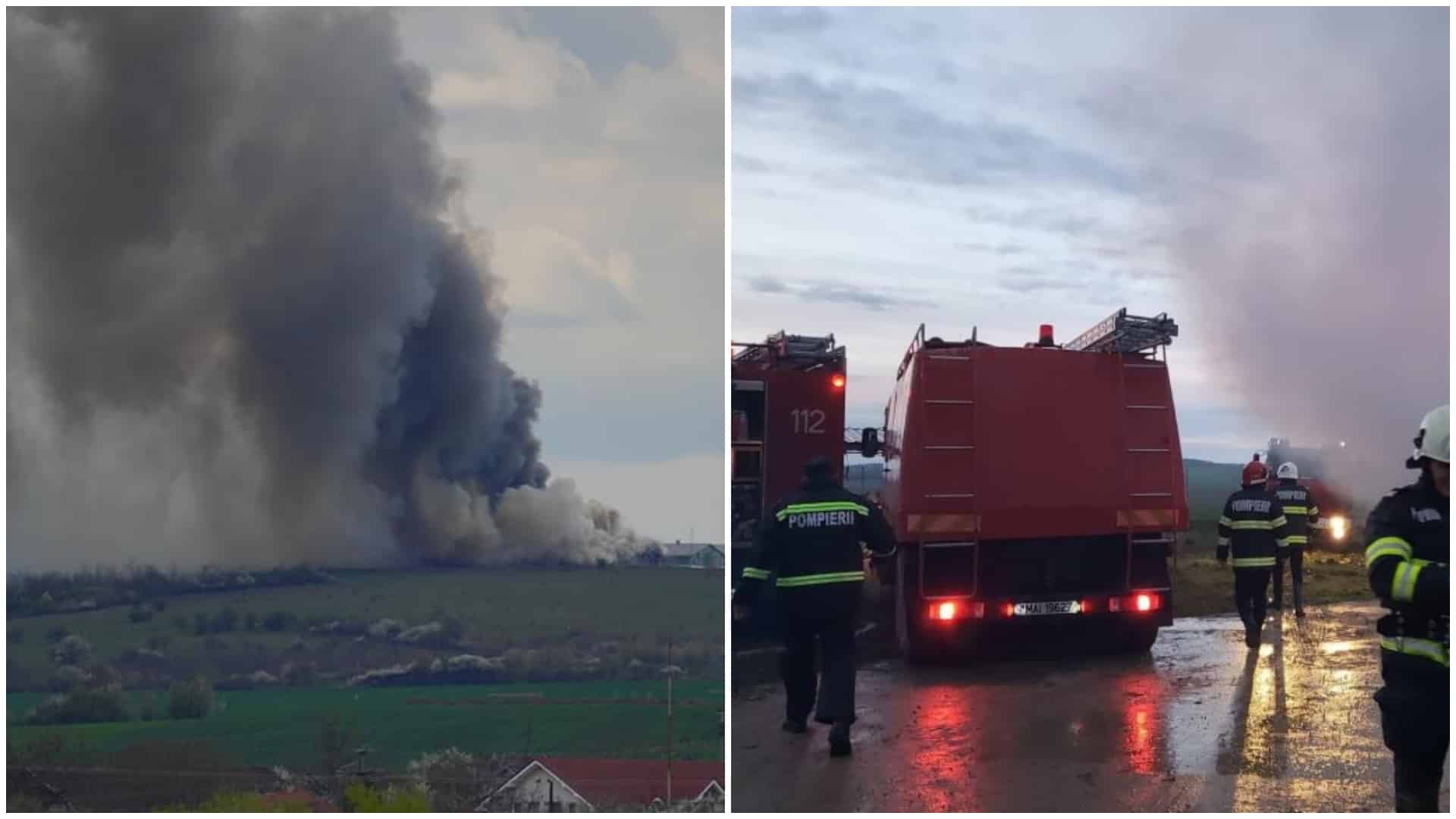 Hală pentru creșterea păsărilor din Satu Mare, cuprinsă de flăcări. Fumul negru poate fi văzut de la câțiva kilometri distanță