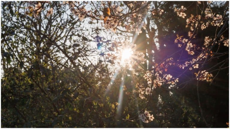 Vremea se schimbă radical în toată țara. Zonele unde temperaturile vor ajunge la 27 de grade