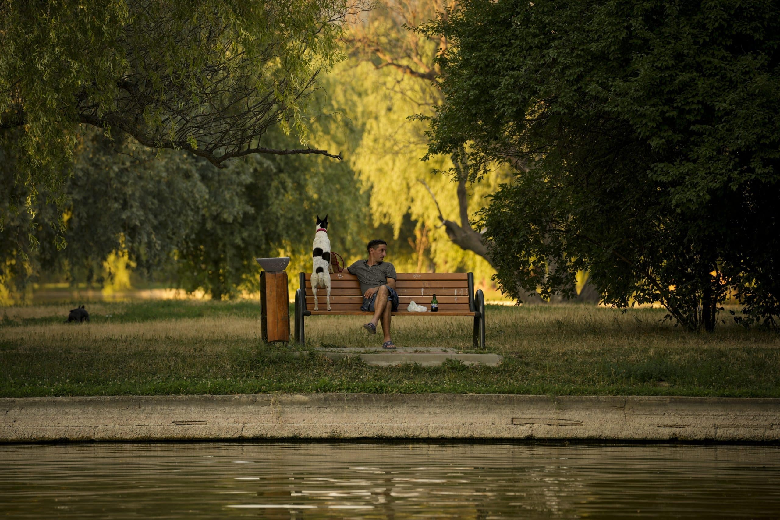 Cea mai caldă dimineaţă de 31 martie, în România. Aprilie va începe cu temperaturi de peste 30 de grade