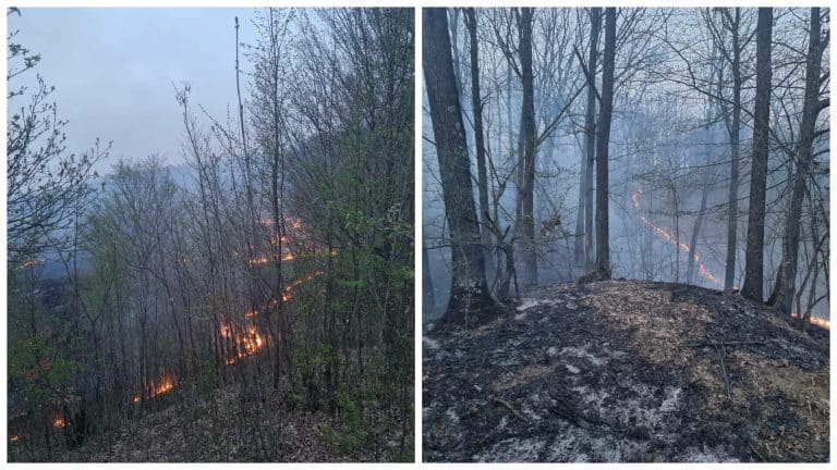 Incendiu puternic de vegetație în Prahova. Intervenția pompierilor este îngreunată de vânt și de lipsa apei