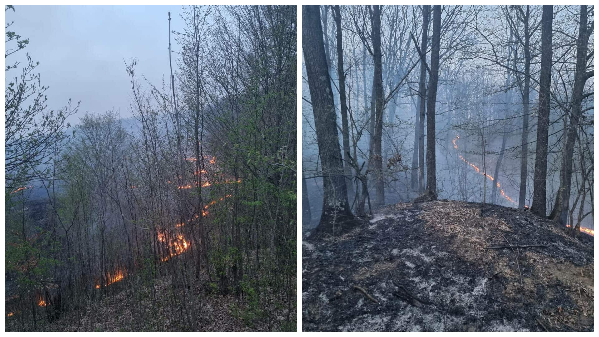 Incendiu puternic de vegetație în Prahova. Intervenția pompierilor este îngreunată de vânt și de lipsa apei