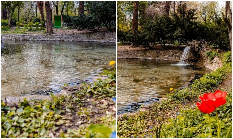 Reamenajarea parcului Cismigiu. Nicușor Dan prezintă primul lac reabilitat