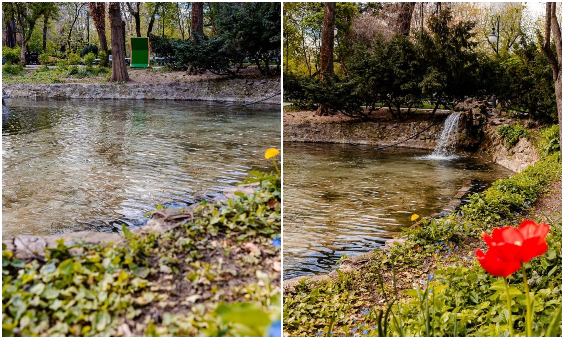 Reamenajarea parcului Cismigiu. Nicușor Dan prezintă primul lac reabilitat