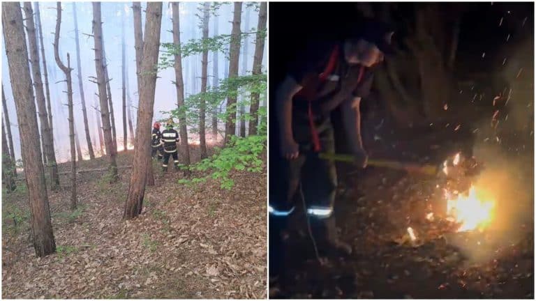 O pădure din Cluj arde de mai bine de o zi, iar pompierii se luptă cu flăcările încă de atunci. Zece hectare sunt afectate