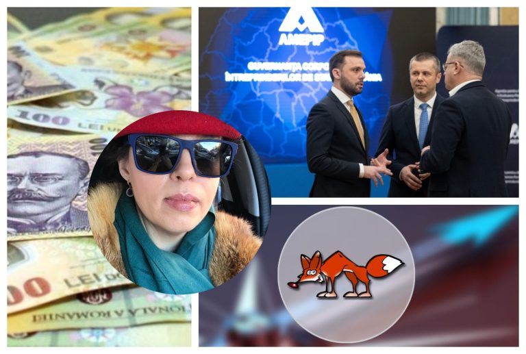 Compania de consultanță care a monopolizat numirile în companiile de stat. „Vulpița misterioasă” la care apelează AMEPIP, super-agenția din subordinea premierului