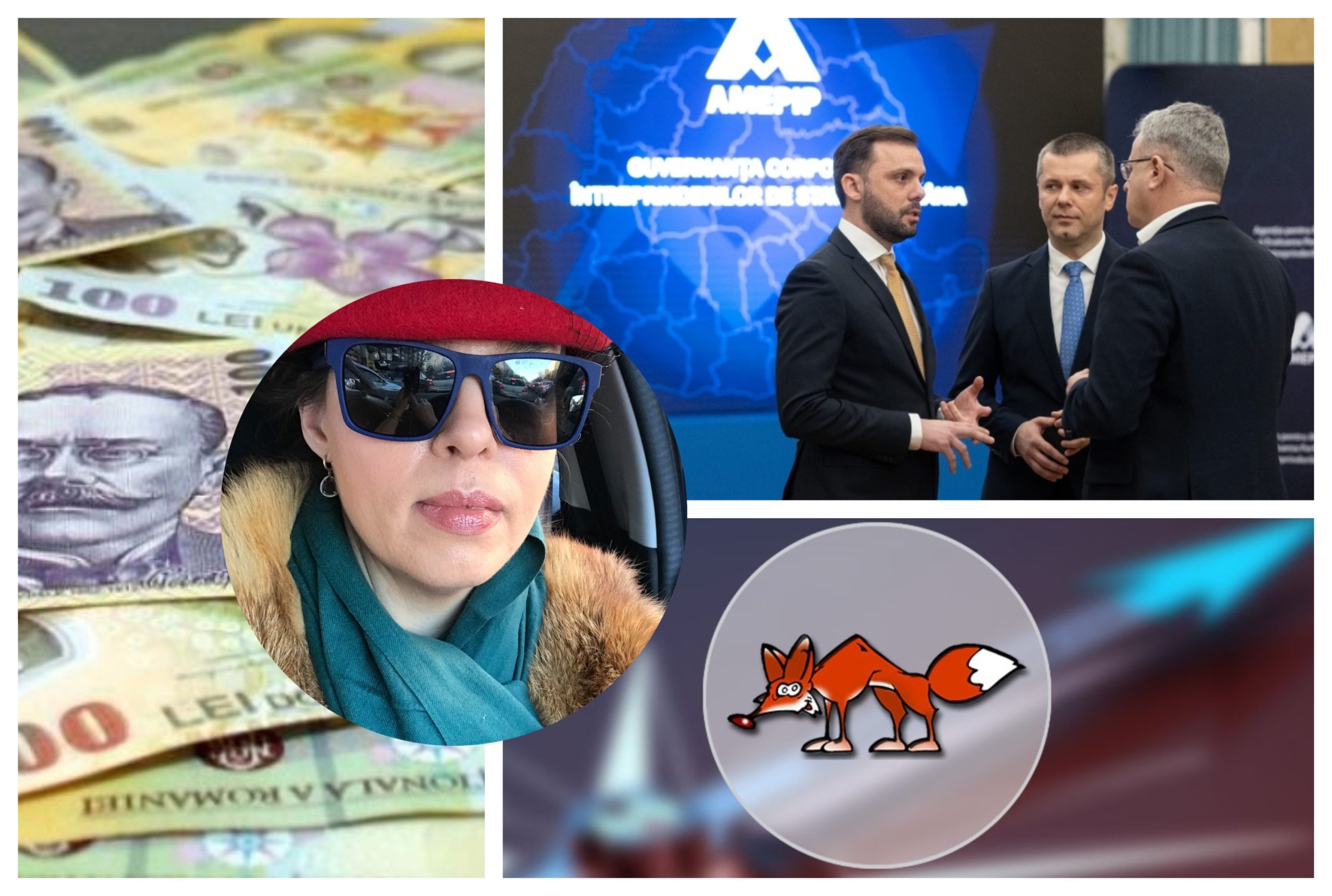 Compania de consultanță care a monopolizat numirile în companiile de stat. „Vulpița misterioasă” la care apelează AMEPIP, super-agenția din subordinea premierului