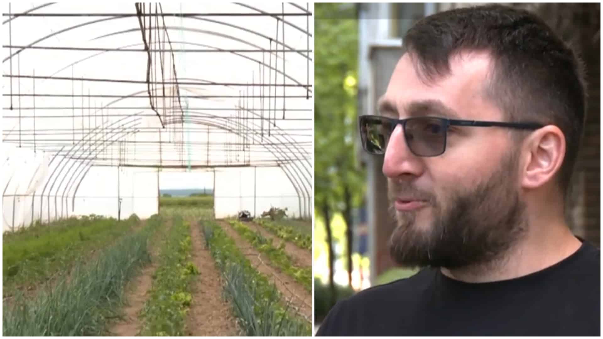 Afacerea bio care face milionari pe bandă rulantă. Dan plătește 3.500 de lei pe 10 luni şi e încântat de idee