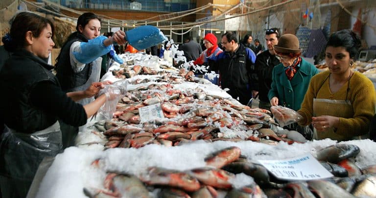 Peștele pe care să nu-l cumperi din piață. Ce au arătat testele: “Am găsit arsen, plumb și mercur”