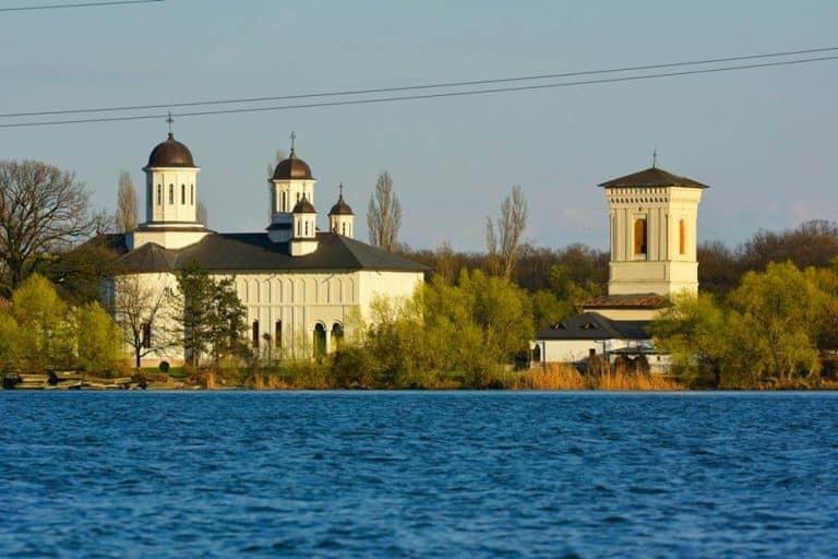 O icoană dispărută de 40 de ani din Mănăstirea Cernica a fost găsită. Cine a înapoiat-o. Este veche de 3 secole