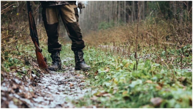 A murit în pădure, împuşcat în piept. Tragedie în Hunedoara, o partidă de vânătoare s-a încheiat cu moartea unui bărbat de 44 de ani