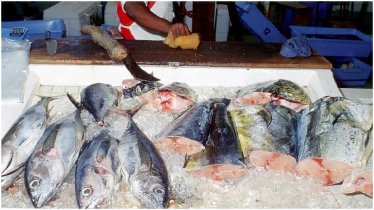 Controale de amploare după moartea fetiței din Călărași. 1,3 tone de pește, retrase de la vânzare de ANPC