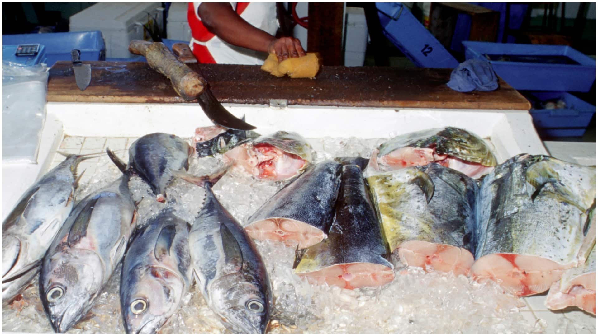 Controale de amploare după moartea fetiței din Călărași. 1,3 tone de pește, retrase de la vânzare de ANPC