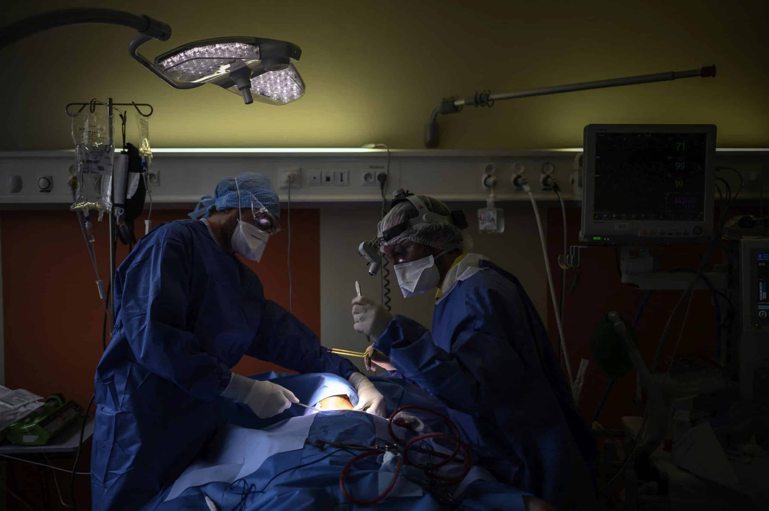 Primul pacient care a primit un transplant de rinichi de porc a decedat. Trecuseră numai două luni de la operație