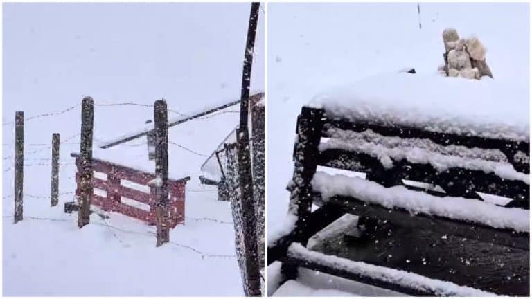 Locul din România unde ninge abundent. Ninsori ca în toiul iernii și peisaj de poveste: ”Cât de frumos!”