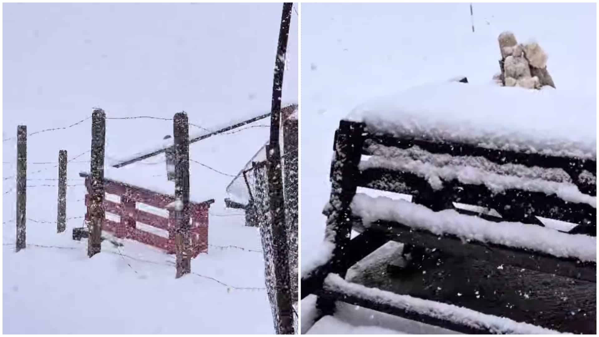 Locul din România unde ninge abundent. Ninsori ca în toiul iernii și peisaj de poveste: ”Cât de frumos!”