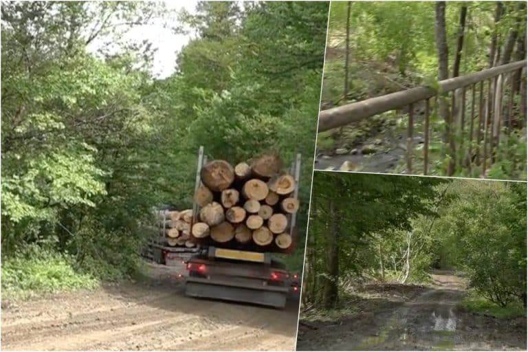 Drumul din România care va renaște din propria cenușă. I se spune Drumul Regelui și are o însemnătate istorică