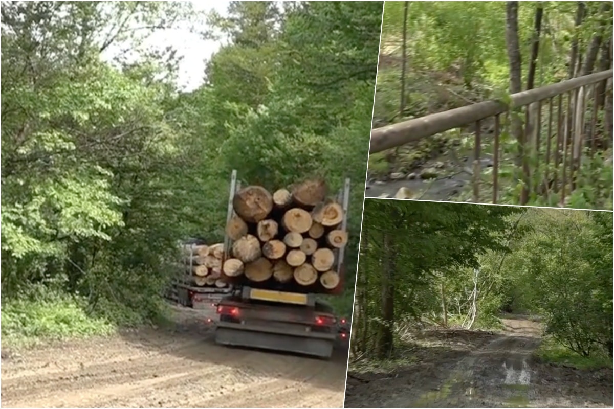 Drumul din România care va renaște din propria cenușă. I se spune Drumul Regelui și are o însemnătate istorică