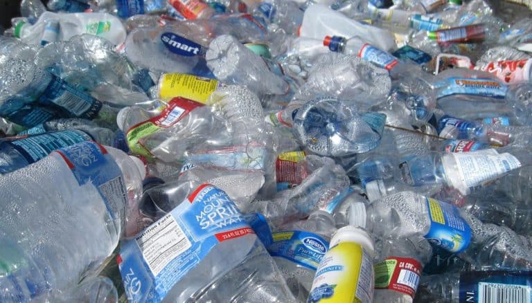 Supermarketul celebru din România care oferă 60 de bani pentru fiecare sticlă reciclată din programul SGR. Oferta pe care trebuie s-o știe toți românii