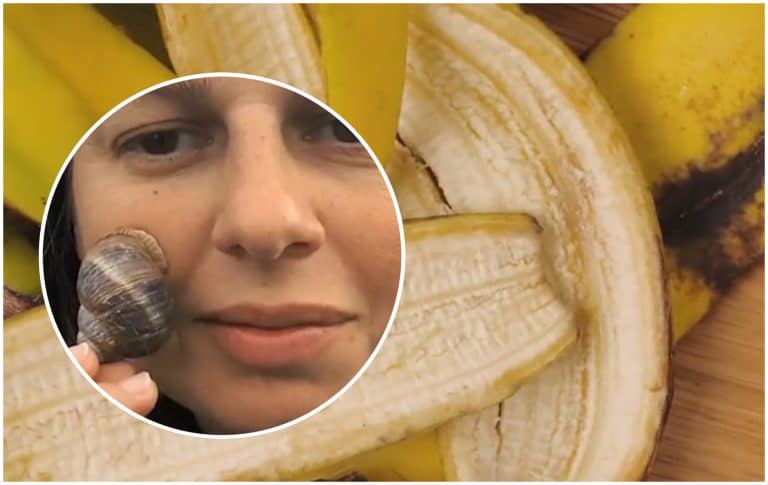 Tratamentele naturiste promovate pe TikTok care ne pot băga în spital. Ce spun medicii despre ideile proaste care ajung virale