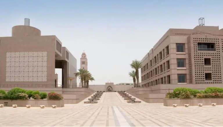 Țara bogată care oferă burse pentru studenții români. Se poate aplica online: “Credem foarte mult în sistemul educațional românesc”