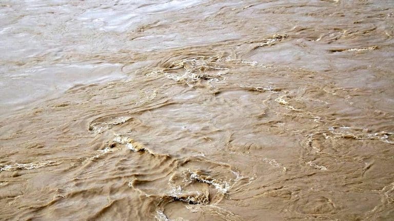 Râul important din România care a ajuns sufocat de nămol: “Este incredibil ce s-a întâmplat”