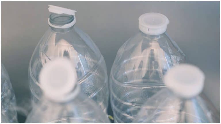 Ce se întâmplă cu ambalajele SGR marcă proprie. Unde pot fi, de fapt, returnate și câți bani primești pe ele