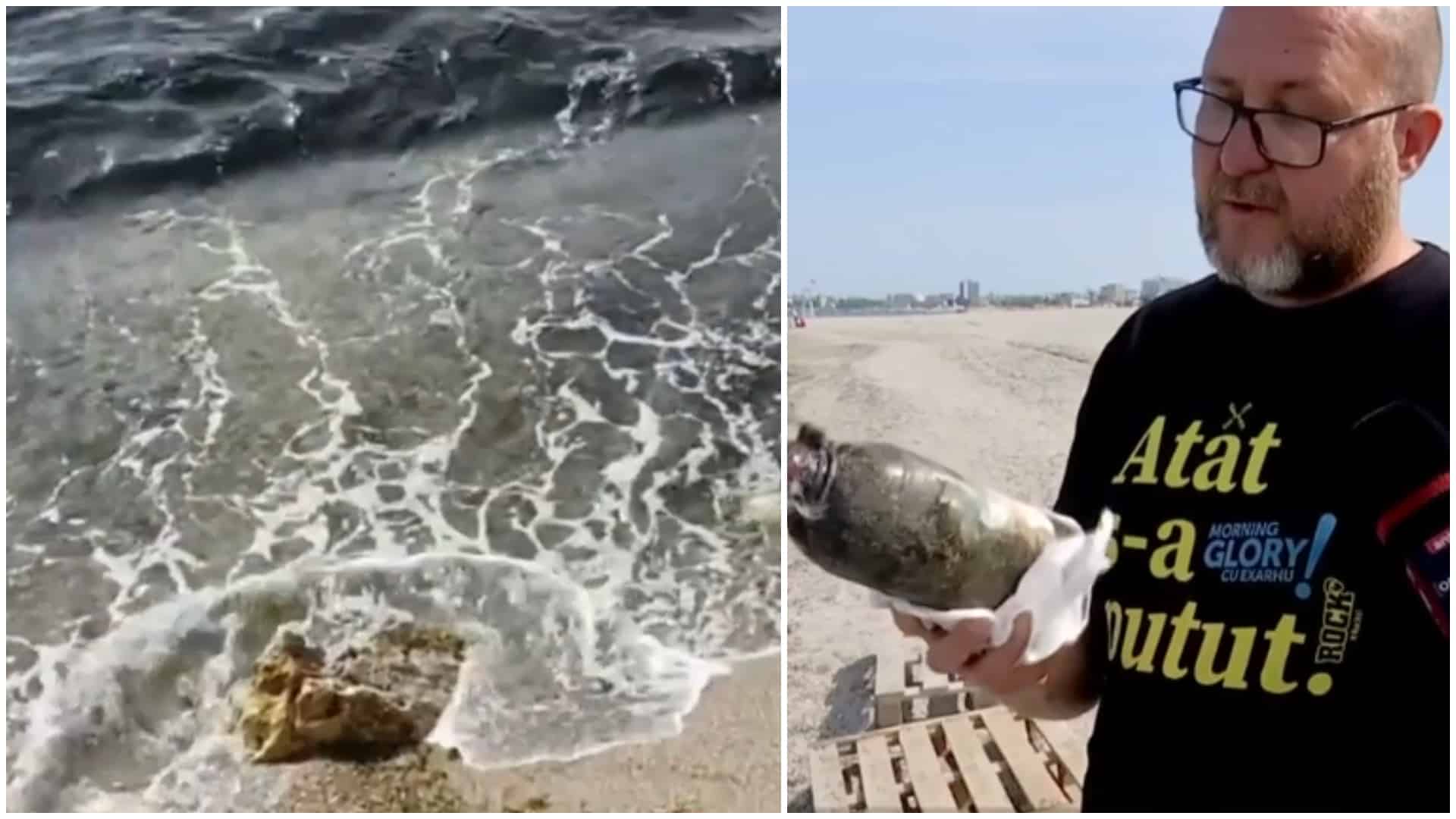 Fenomen periculos pe litoral. Apa a devenit neagră din cauza poluării: „Este păcură, hidrocarbură. Nu are ce căuta în mare”