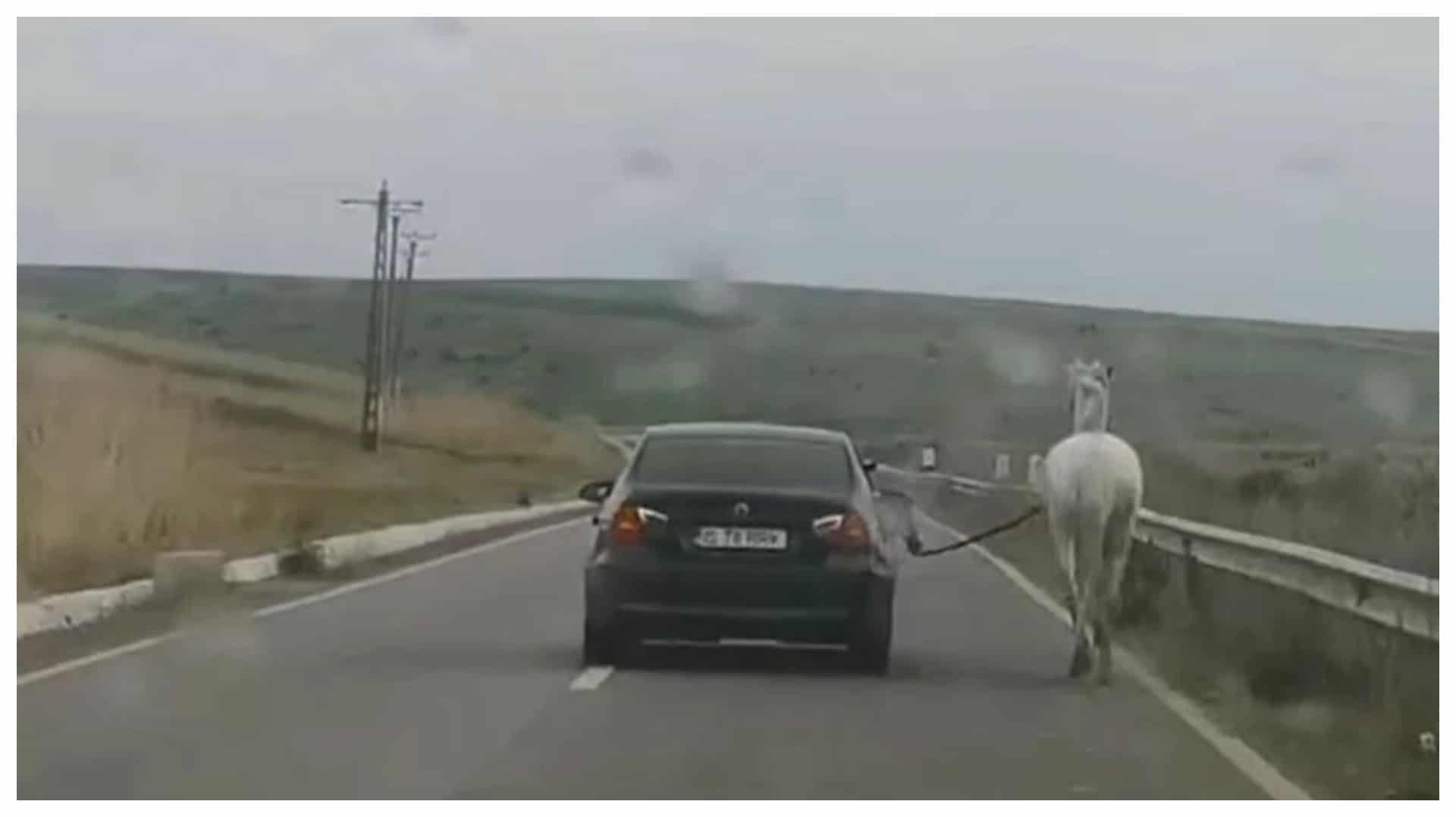 Imagini virale cu un cal scos la plimbare cu BMW-ul. „Nu fiți răutăcioși!! E Moldova, nu Austria”