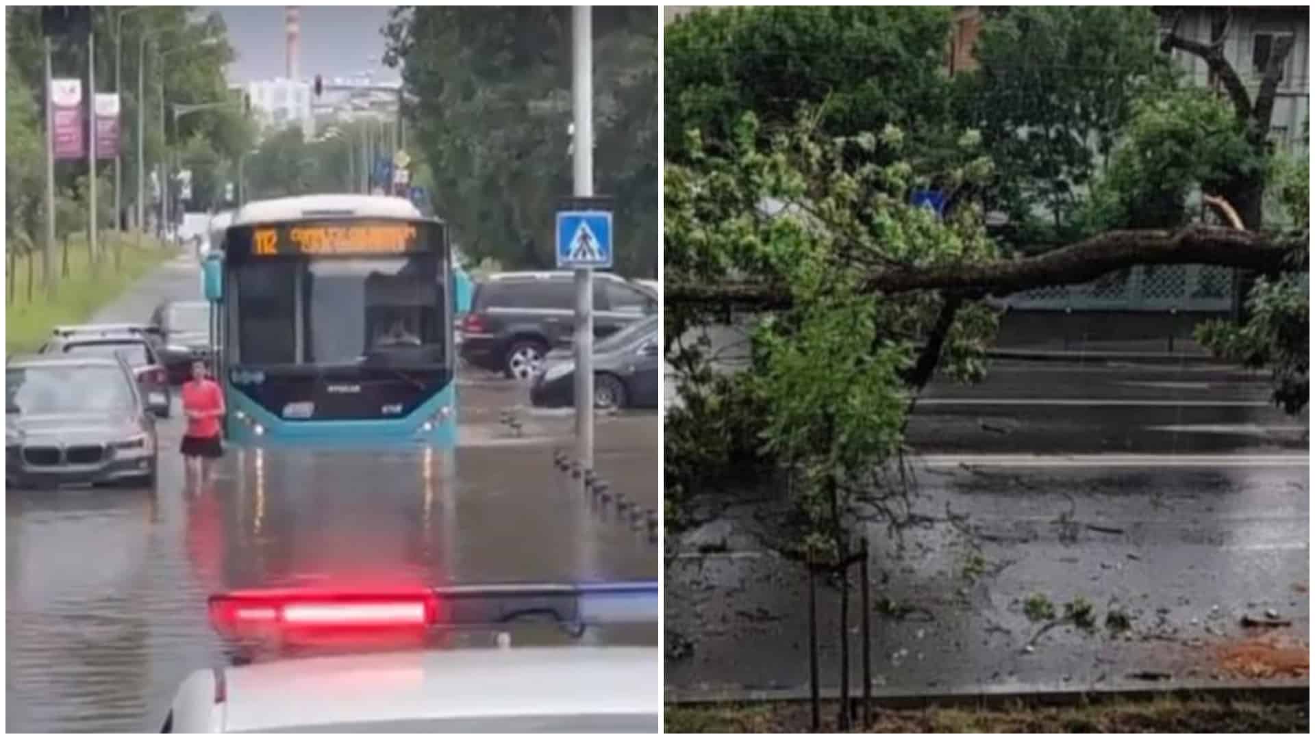 Mai multe zone din București, paralizate după furtuna de sâmbătă. Copacii au căzut peste mașinile parcate