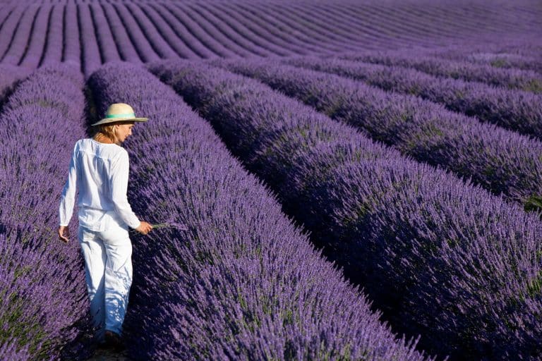 Florina a dat lovitura cu o super afacere. A avut o idee genială, iar acum se bucură de câștiguri generoase: ”Avem oameni care au venit și a treia oară”