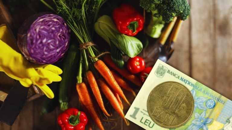 Leguma din România cu o producție record. A ajuns să coste doar 1 leu pe kilogram