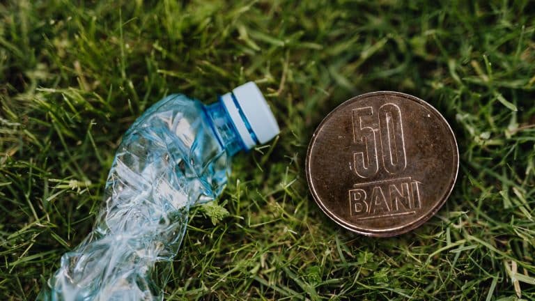 Bilanțul reciclării în România după 6 luni de SGR. Câte tone de ambalaje au fost aduse înapoi de români